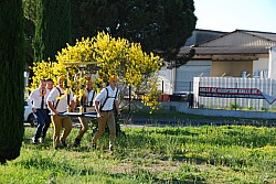 St_gens_2025_S_34.jpg