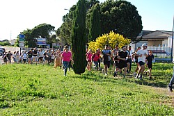 St_gens_2025_S_37.jpg