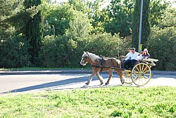 St_gens_2025_S_41.jpg