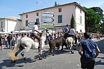 abrivado_montfavet_2019_16.jpg