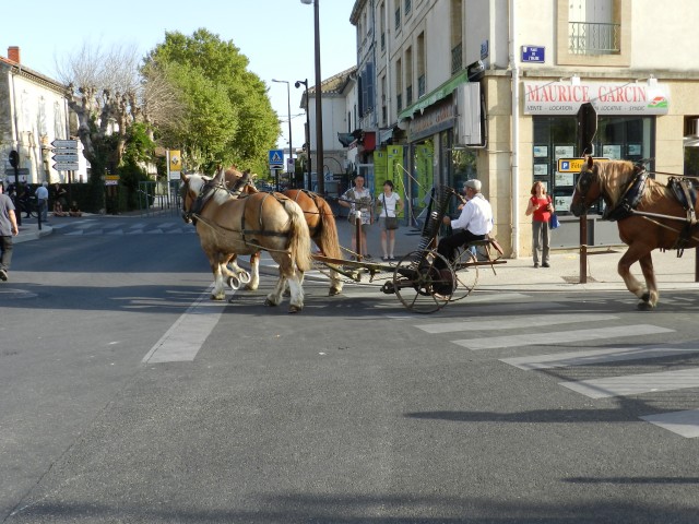 fete_foins_montfavet_2017_05.jpg