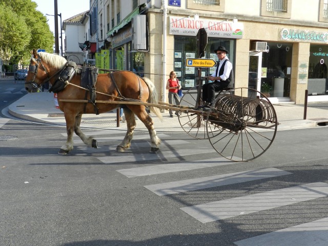 fete_foins_montfavet_2017_06.jpg