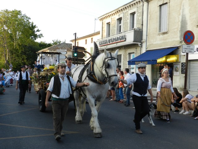 fete_foins_montfavet_2017_35.jpg