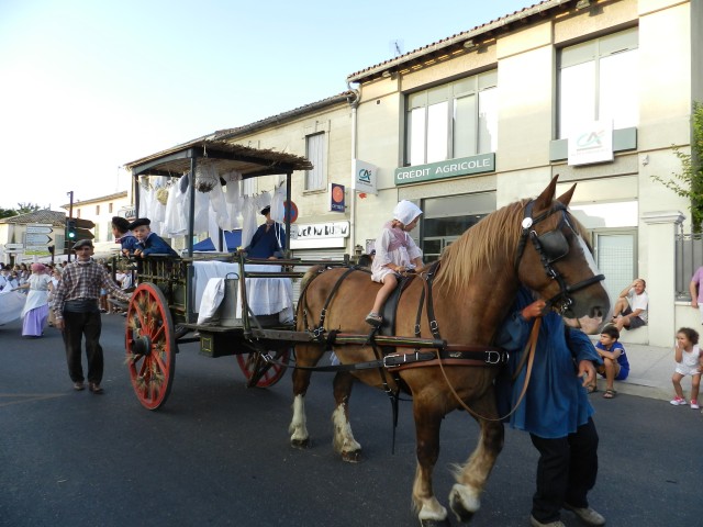 fete_foins_montfavet_2017_37.jpg