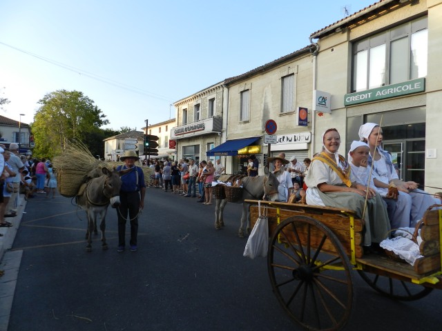 fete_foins_montfavet_2017_42.jpg