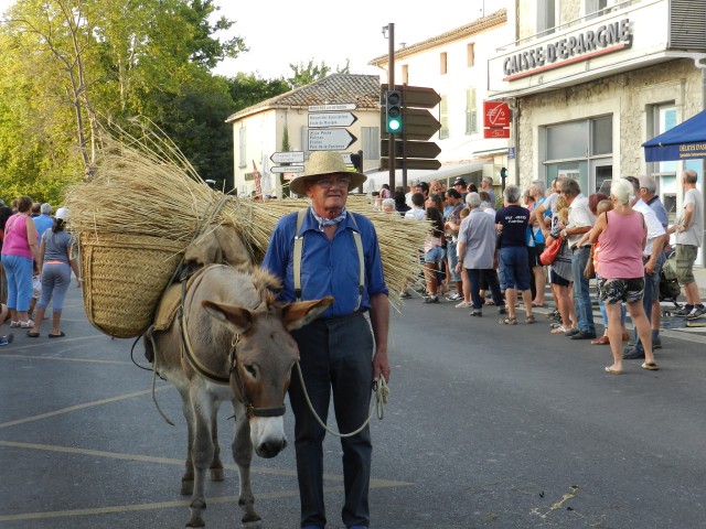 fete_foins_montfavet_2017_44.jpg