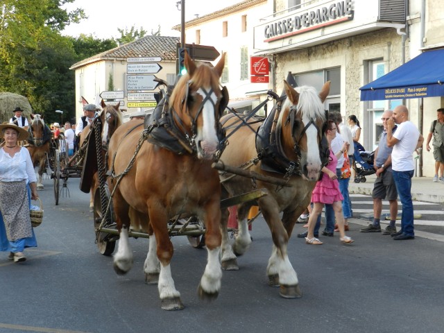 fete_foins_montfavet_2017_52.jpg