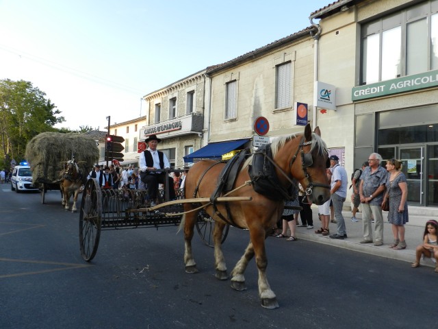 fete_foins_montfavet_2017_55.jpg