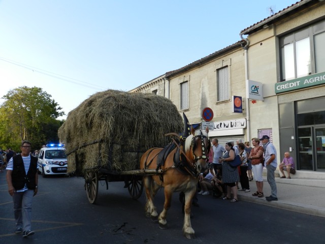 fete_foins_montfavet_2017_56.jpg