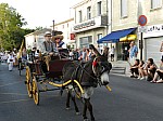 fete_foins_montfavet_2017_17.jpg