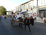 fete_foins_montfavet_2017_18.jpg