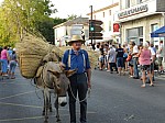 fete_foins_montfavet_2017_44.jpg