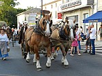 fete_foins_montfavet_2017_52.jpg