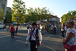 fete_foins_montfavet_2018_13.jpg fete_foins_montfavet_2018_13.jpg