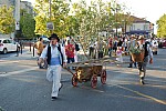 fete_foins_montfavet_2018_16.jpg fete_foins_montfavet_2018_16.jpg