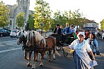 fete_foins_montfavet_2018_33.jpg fete_foins_montfavet_2018_33.jpg