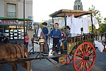 fete_foins_montfavet_2018_41.jpg fete_foins_montfavet_2018_41.jpg