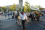 fete_foins_montfavet_2018_46.jpg fete_foins_montfavet_2018_46.jpg