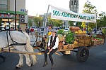 fete_foins_montfavet_2018_47.jpg fete_foins_montfavet_2018_47.jpg