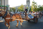 fete_foins_montfavet_2018_50.jpg fete_foins_montfavet_2018_50.jpg