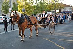 fete_foins_montfavet_2018_51.jpg fete_foins_montfavet_2018_51.jpg