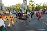 fete_foins_montfavet_2018_53.jpg fete_foins_montfavet_2018_53.jpg