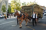 fete_foins_montfavet_2018_55.jpg fete_foins_montfavet_2018_55.jpg
