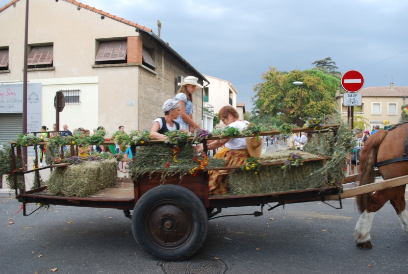 fete_foins_montfavet_2019_07.jpg