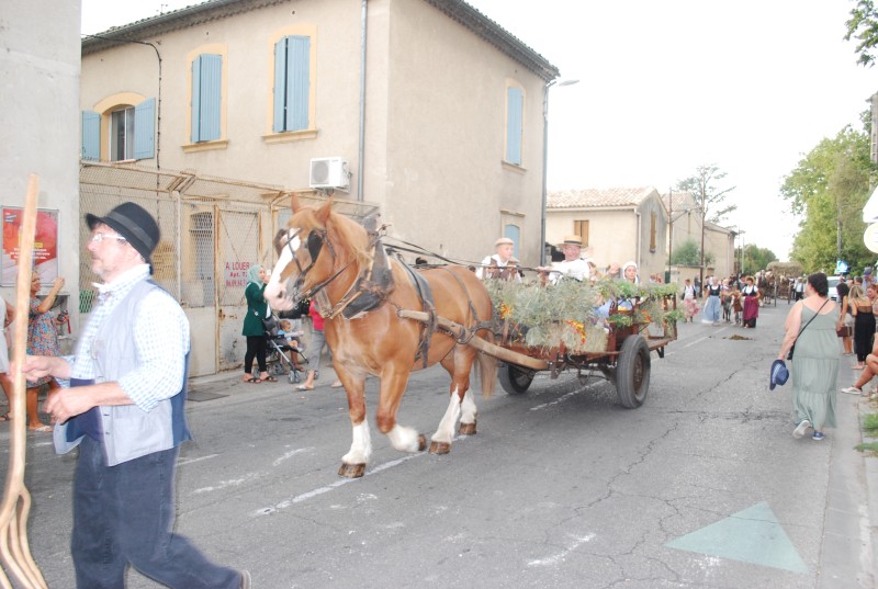 fete_foins_montfavet_2019_38.jpg