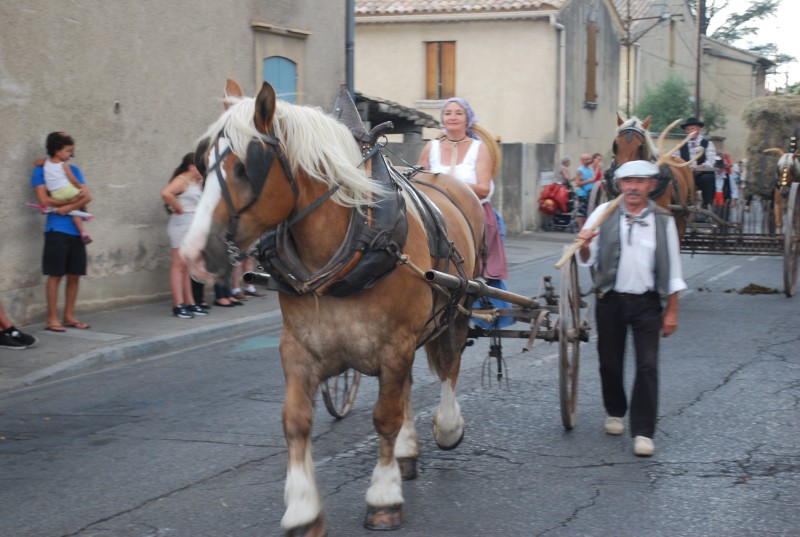 fete_foins_montfavet_2019_42.jpg