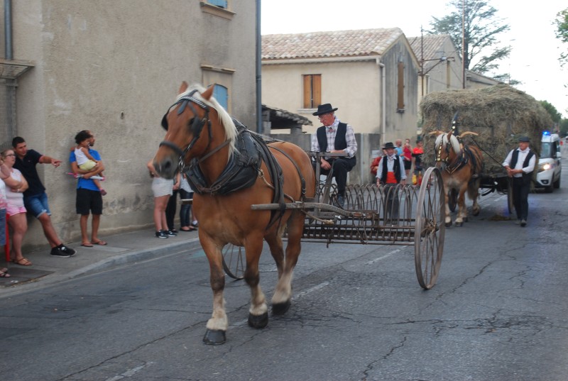 fete_foins_montfavet_2019_43.jpg