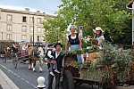 fete_foins_montfavet_2019_06.jpg