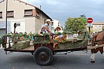 fete_foins_montfavet_2019_07.jpg
