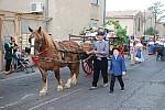 fete_foins_montfavet_2019_18.jpg