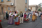 fete_foins_montfavet_2019_31.jpg