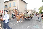 fete_foins_montfavet_2019_38.jpg