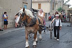 fete_foins_montfavet_2019_42.jpg