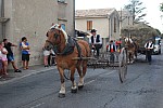 fete_foins_montfavet_2019_43.jpg
