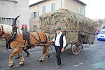fete_foins_montfavet_2019_45.jpg
