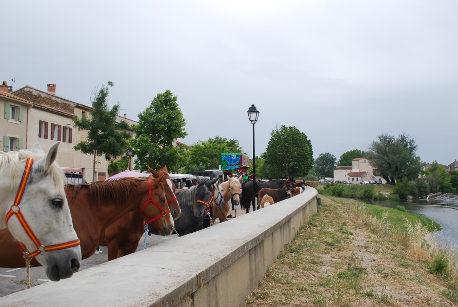 foire_chevaux_beda_2023_12.jpg