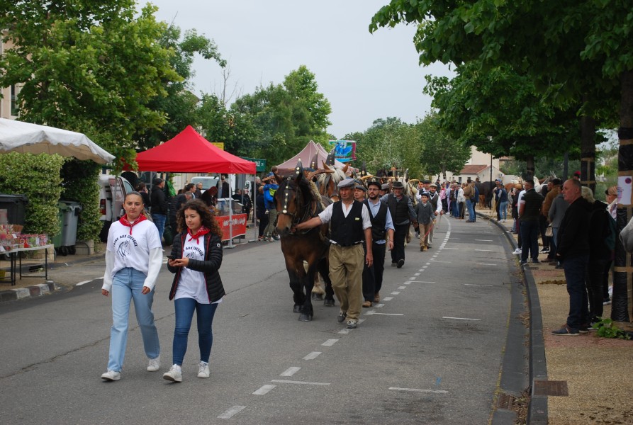 foire_chevaux_beda_2023_14.jpg