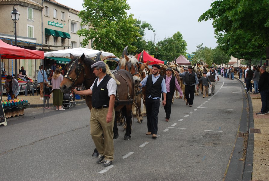 foire_chevaux_beda_2023_15.jpg