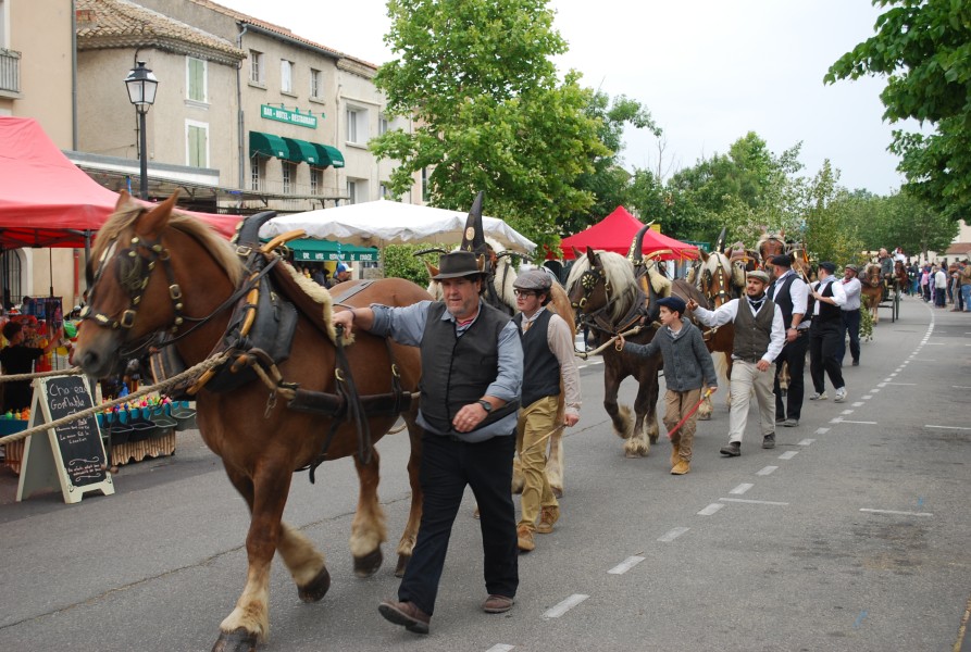 foire_chevaux_beda_2023_16.jpg