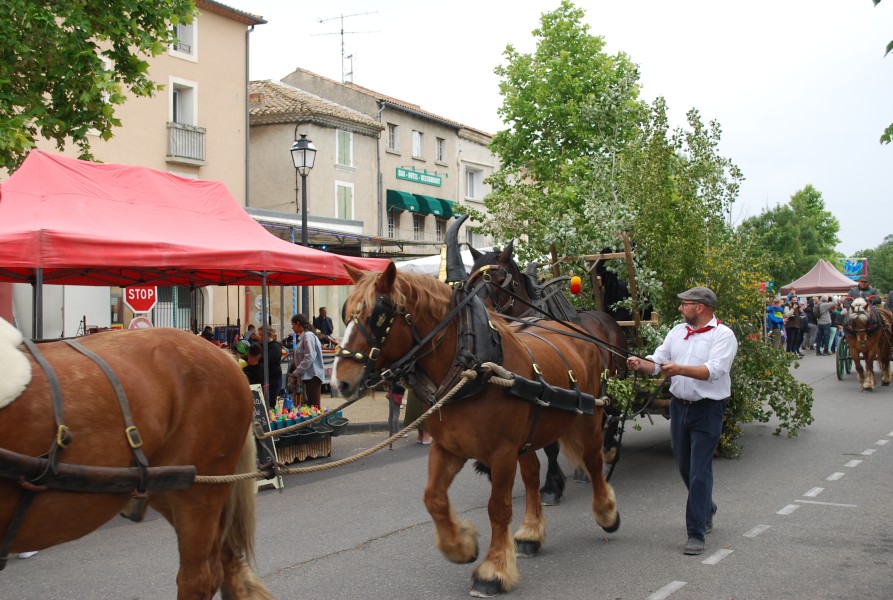 foire_chevaux_beda_2023_17.jpg