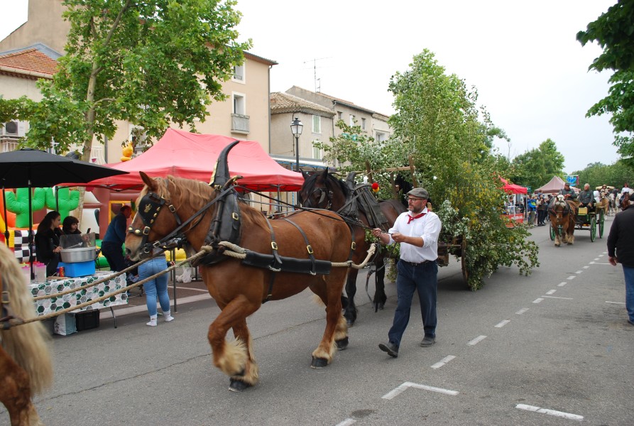 foire_chevaux_beda_2023_18.jpg