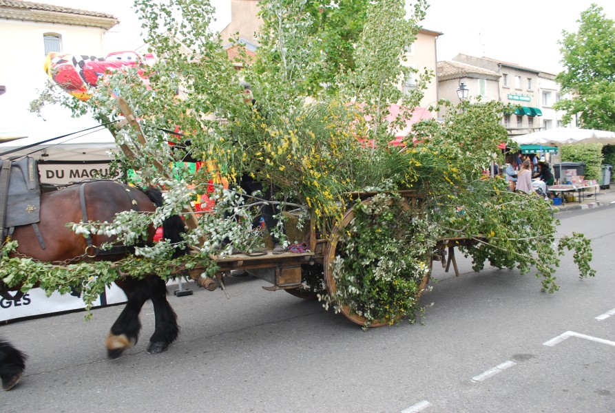 foire_chevaux_beda_2023_19.jpg