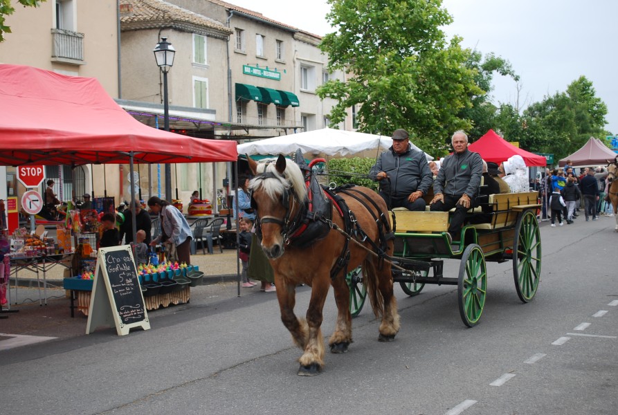 foire_chevaux_beda_2023_20.jpg