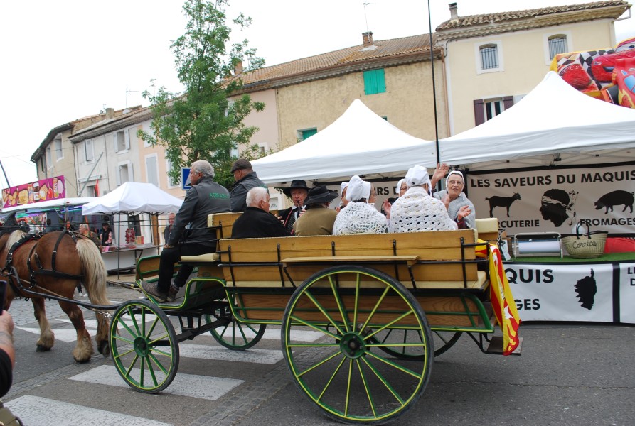 foire_chevaux_beda_2023_22.jpg