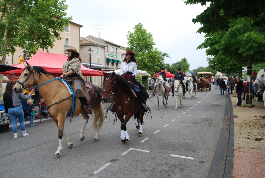 foire_chevaux_beda_2023_23.jpg