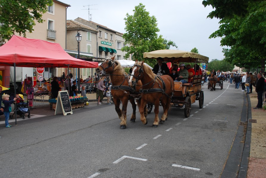 foire_chevaux_beda_2023_24.jpg